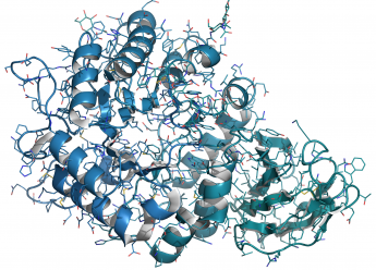 enzyme-digestive-phycocyanine-spiruline