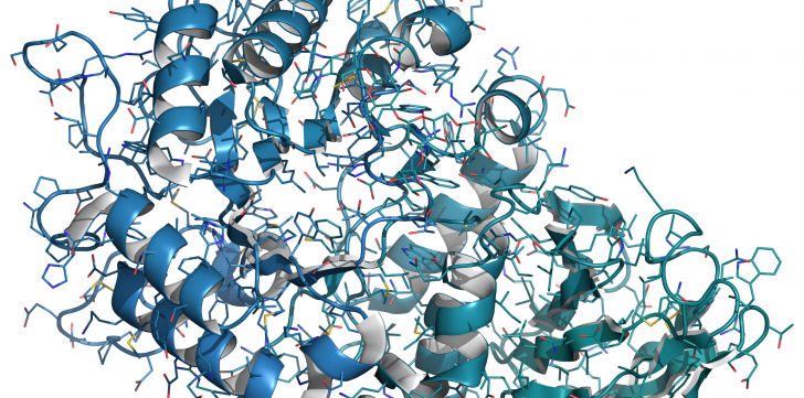 enzyme-digestive-phycocyanine-spiruline