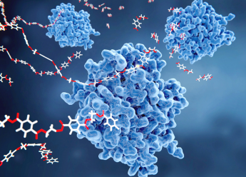 molécules sur protéine
