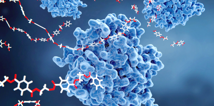 molécules sur protéine